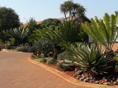 💚Broodboomsingel💚 20240924_162741